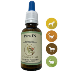 Krachtig Kruid Para In 10 ml
