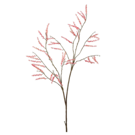 Catkin spray pink