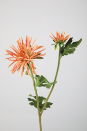 Mum spray Orange
