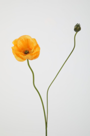 Poppy spray yellow