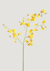 Dancing Orchid Spray yellow