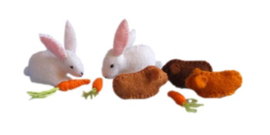 Twee konijntjes drie cavia´s en worteltjes