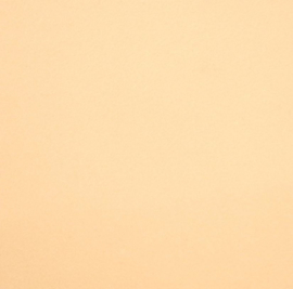 Wolvilt Zalmbeige overige afmetingen