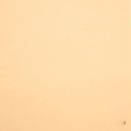 Wolvilt Zalmbeige 20x30