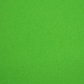 Budgetvilt groen 20x30cm