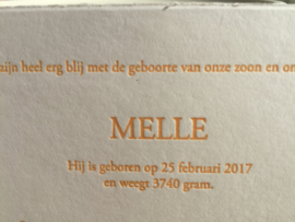 Oranje geruit oudhollands strikjeskaartje