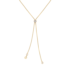 Tommy Hilfiger - Ketting Staal/Goud