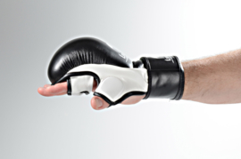 MMA Handschoenen Training