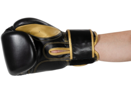 KWON Bokshandschoenen Professional Sparring