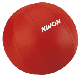 Medicine Ball 5kg leer