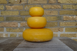 Käse 1.6 kilo Jung