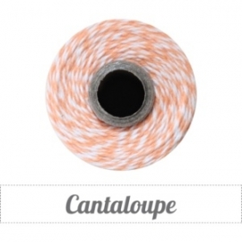 17.02 Baker`s twine oranje / wit Cantaloupe