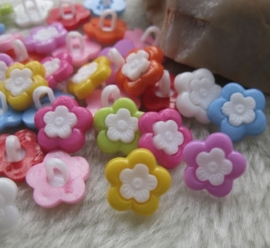 08.02 Gekleurde bloemen met witte kern
