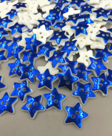 08.01 Blauwe sterretjes