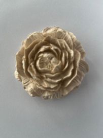 Rose (Beige)