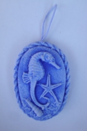 zeepaardje(blauw)