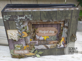 Album Cosy Forest