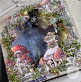 Album The world of Fairies
