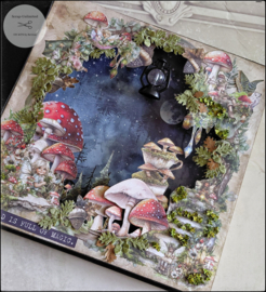 Album The world of Fairies