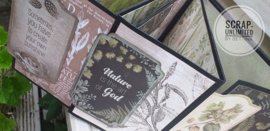 Album Cosy Forest
