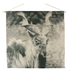 Wanddoek Antilope Canvas 74 cm