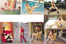 Pleaser posters - 5 x