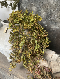 Leuk hangende kunsttak van bruin eucalyptus