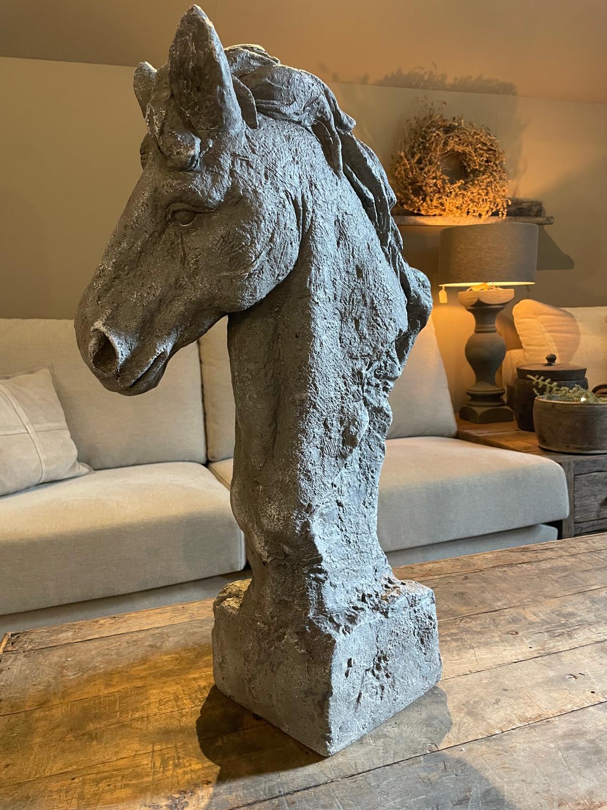 Zeer mooi paardenhoofd
