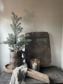 Mooie kerst kunst cedar in pot M