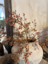 Gypsophylia tak 95 cm oranje
