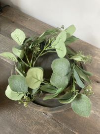 Leuk kransje van eucalyptus xxs