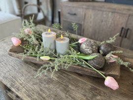 Mooie asparagus takken kunst groen