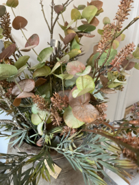 Mooie groene tak eucalyptus