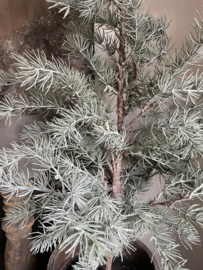 Mooie kerst kunst cedar in pot L