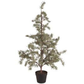 Mooie kerst kunst cedar in pot L