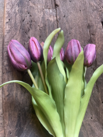 Mooie bos kunst tulpen paars
