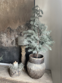 Mooie kerst kunst cedar in pot L