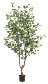 Mooie grote kunst eucalyptus plant 120-140-180 cm