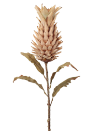 Ananas tak 83 cm crème