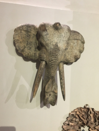 Heel gaaf oud unieke olifant van hout