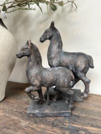 Mooi vergrijsd paard -klein