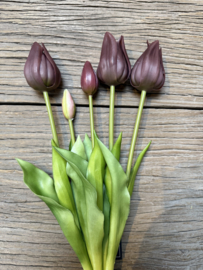 Mooie bos kunst tulpen paars