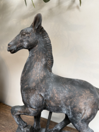 Mooi vergrijsd paard -groot