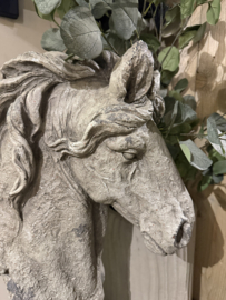 Stoer groot paard vergrijsd  XL