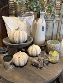 Mooie sobere beige stenen pompoenen -2 maten
