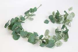 Leuk slinger van eucalyptus 1.80 cm