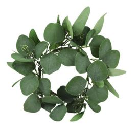 Leuk kransje van eucalyptus xxs