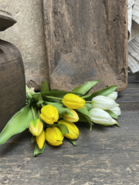 Mooie bos kunst tulpen  geel