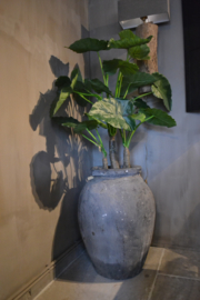 Mooie grote kunst alocasia 120 cm