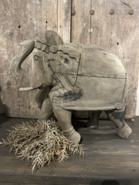 Prachtige unieke oude olifant vergrijsd